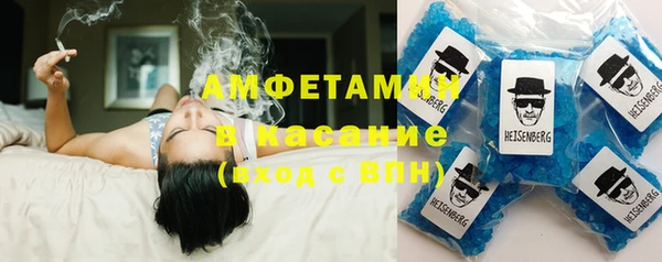 прущие грибы Абаза