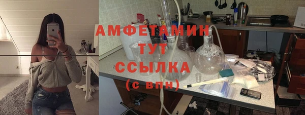 прущие грибы Абаза