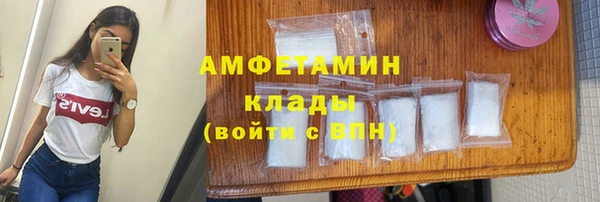 прущие грибы Абаза