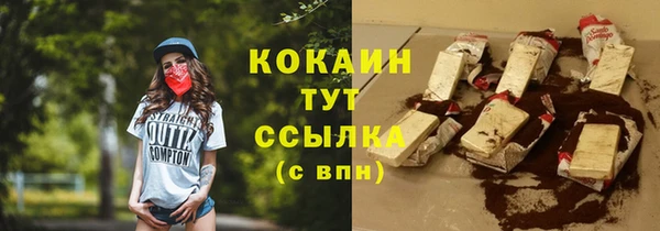 молекула духа Переславль-Залесский
