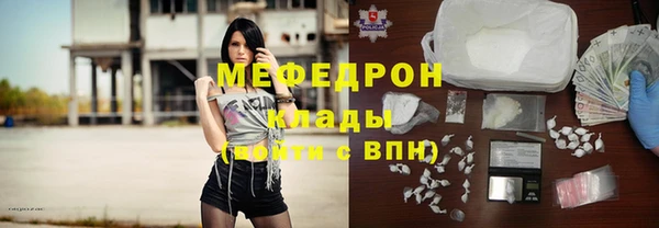 прущие грибы Абаза