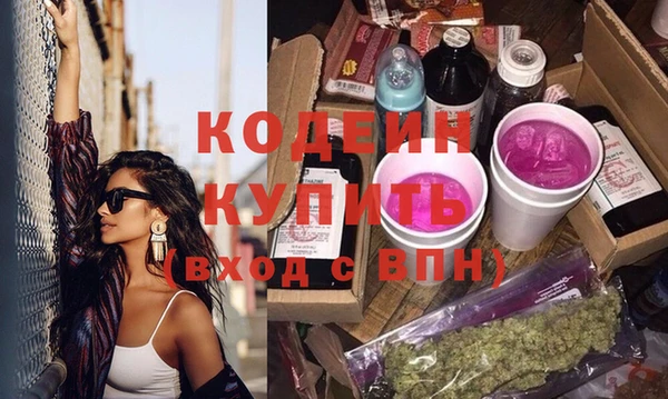 прущие грибы Абаза